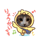 猫だらけのスタンプです！【Part2】（個別スタンプ：6）