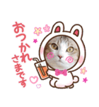 猫だらけのスタンプです！【Part2】（個別スタンプ：7）