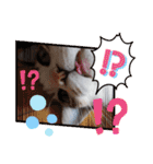 猫だらけのスタンプです！【Part2】（個別スタンプ：14）