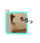 Dep 里親様スタンプ おもしろver（個別スタンプ：1）