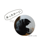 Dep 里親様スタンプ おもしろver（個別スタンプ：3）