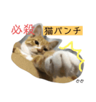 Dep 里親様スタンプ おもしろver（個別スタンプ：4）