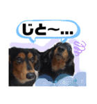 我が家の天使たち3です！（個別スタンプ：5）