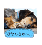 我が家の天使たち3です！（個別スタンプ：6）