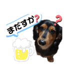 我が家の天使たち3です！（個別スタンプ：8）