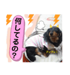 我が家の天使たち3です！（個別スタンプ：9）