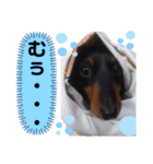 我が家の天使たち3です！（個別スタンプ：10）