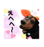 我が家の天使たち3です！（個別スタンプ：11）