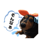 我が家の天使たち3です！（個別スタンプ：13）