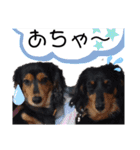 我が家の天使たち3です！（個別スタンプ：15）