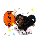 我が家の天使たち3です！（個別スタンプ：16）