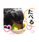 我が家の天使たち3です！（個別スタンプ：18）