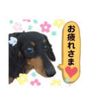 我が家の天使たち3です！（個別スタンプ：21）