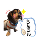 我が家の天使たち3です！（個別スタンプ：22）