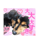 我が家の天使たち3です！（個別スタンプ：24）