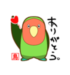 コザクラインコのケンゾー（個別スタンプ：10）