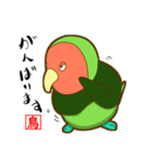 コザクラインコのケンゾー（個別スタンプ：31）