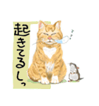 猫スタ にゃんだらけ（個別スタンプ：3）