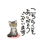 猫スタ にゃんだらけ（個別スタンプ：9）