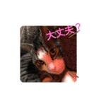 イケニャン❤ソラくんのスタンプ（個別スタンプ：2）