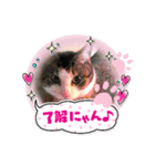 イケニャン❤ソラくんのスタンプ（個別スタンプ：3）