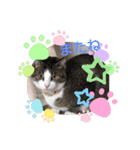 イケニャン❤ソラくんのスタンプ（個別スタンプ：10）