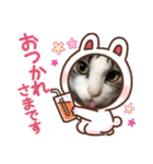 イケニャン❤ソラくんのスタンプ（個別スタンプ：12）