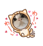 イケニャン❤ソラくんのスタンプ（個別スタンプ：13）