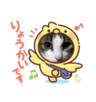 イケニャン❤ソラくんのスタンプ（個別スタンプ：14）
