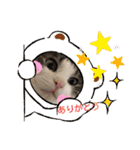 イケニャン❤ソラくんのスタンプ（個別スタンプ：20）