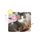 イケニャン❤ソラくんのスタンプ（個別スタンプ：22）