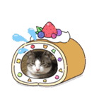イケニャン❤ソラくんのスタンプ（個別スタンプ：29）