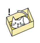 白ねこ チビ（個別スタンプ：11）