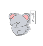 どんどんぱふぱふ こあらちゃん。（個別スタンプ：17）