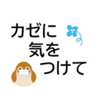 カラフルな鳥でよく使う言葉★でか字で便利（個別スタンプ：19）