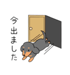 ダックスフントななのすたんぷ2（個別スタンプ：8）