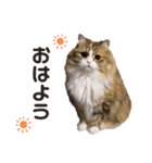 ♡福♡暖♡紗♡希♡（個別スタンプ：1）
