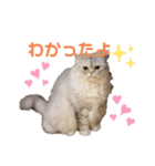 ♡福♡暖♡紗♡希♡（個別スタンプ：2）
