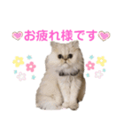 ♡福♡暖♡紗♡希♡（個別スタンプ：4）