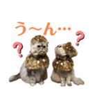 ♡福♡暖♡紗♡希♡（個別スタンプ：6）