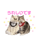 ♡福♡暖♡紗♡希♡（個別スタンプ：8）