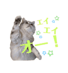 ♡福♡暖♡紗♡希♡（個別スタンプ：10）