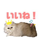 ♡福♡暖♡紗♡希♡（個別スタンプ：11）