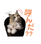 ♡福♡暖♡紗♡希♡（個別スタンプ：12）