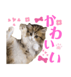 ♡福♡暖♡紗♡希♡（個別スタンプ：13）