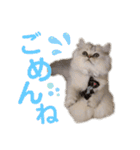 ♡福♡暖♡紗♡希♡（個別スタンプ：16）