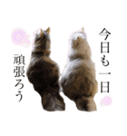 ♡福♡暖♡紗♡希♡（個別スタンプ：18）