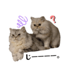 ♡福♡暖♡紗♡希♡（個別スタンプ：19）