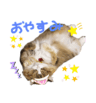 ♡福♡暖♡紗♡希♡（個別スタンプ：20）