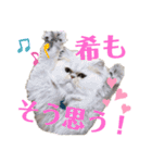 ♡福♡暖♡紗♡希♡（個別スタンプ：22）